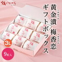 【紀州南高梅使用】梅香恋ギフトボックス 黄金漬 9粒 ギフトボックス|個包装 はちみつ梅干|上品 幸せの和紙袋入り