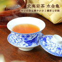 中国茶【武夷岩茶】水金亀(すいきんき)烏龍茶 ~特級~ 40g 24杯分 ギフト 買い回り 送料無料