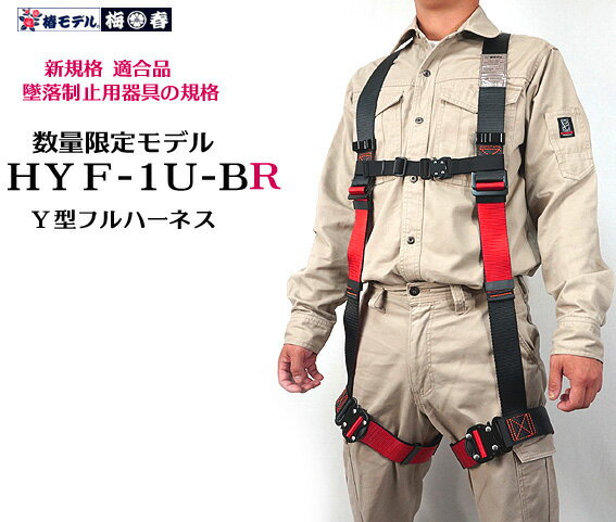 藤井電工 新規格 胴ベルト型安全帯 リトラ 黒 Lサイズ TB-RN-590-BLK-L ツヨロン 墜落制止用器具 安全帯