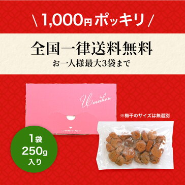 \種なし/1,000円ポッキリ 全国一律送料無料 訳あり はちみつ 梅干し 塩分5% 低塩 250g 紀州南高梅