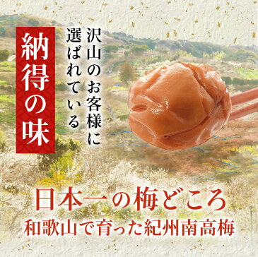 \種なし/1,000円ポッキリ 全国一律送料無料 訳あり はちみつ 梅干し 塩分5% 低塩 250g 紀州南高梅