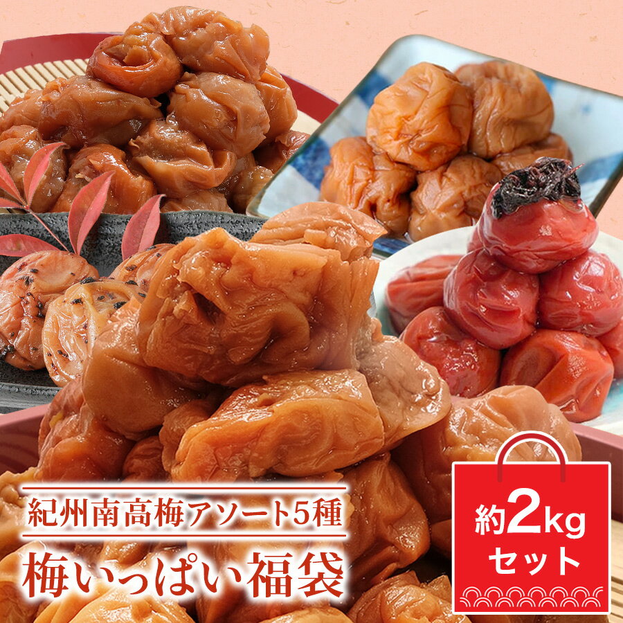 梅干福袋 2kg はちみつ梅干し しそ梅干し かつお梅干し 白干し 紀州南高梅 国産 5点セット 初売り
