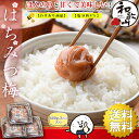梅干し はちみつ 訳あり はちみつ梅干し 1.2kg(400g×3個) 塩分8% つぶれ梅 うめぼし 国産 梅干 紀州南高梅 はちみつ漬け 熱中症対策 誕生日 ...