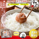 梅干し はちみつ 訳あり はちみつ梅干し ( 400g 塩分8% ) つぶれ梅 うめぼし 国産 梅干 紀州南高梅 はちみつ漬け 熱中症対策 誕生日 プチギフト