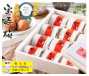 父の日 ギフト プレゼント 2025 高級 梅干し 宝寿梅 12粒 A級品 個包装 (のし付き)【 木箱入り 和紙包み 紀州杉使用 】うす塩味 完熟梅 塩分10...