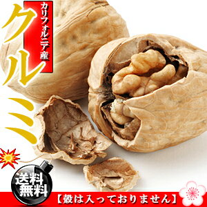 無塩&無油★無添加 お徳用 くるみ どっさり!500g【訳あり】【送料無料】【胡桃】【代金引換不可】※代金引換不可 F