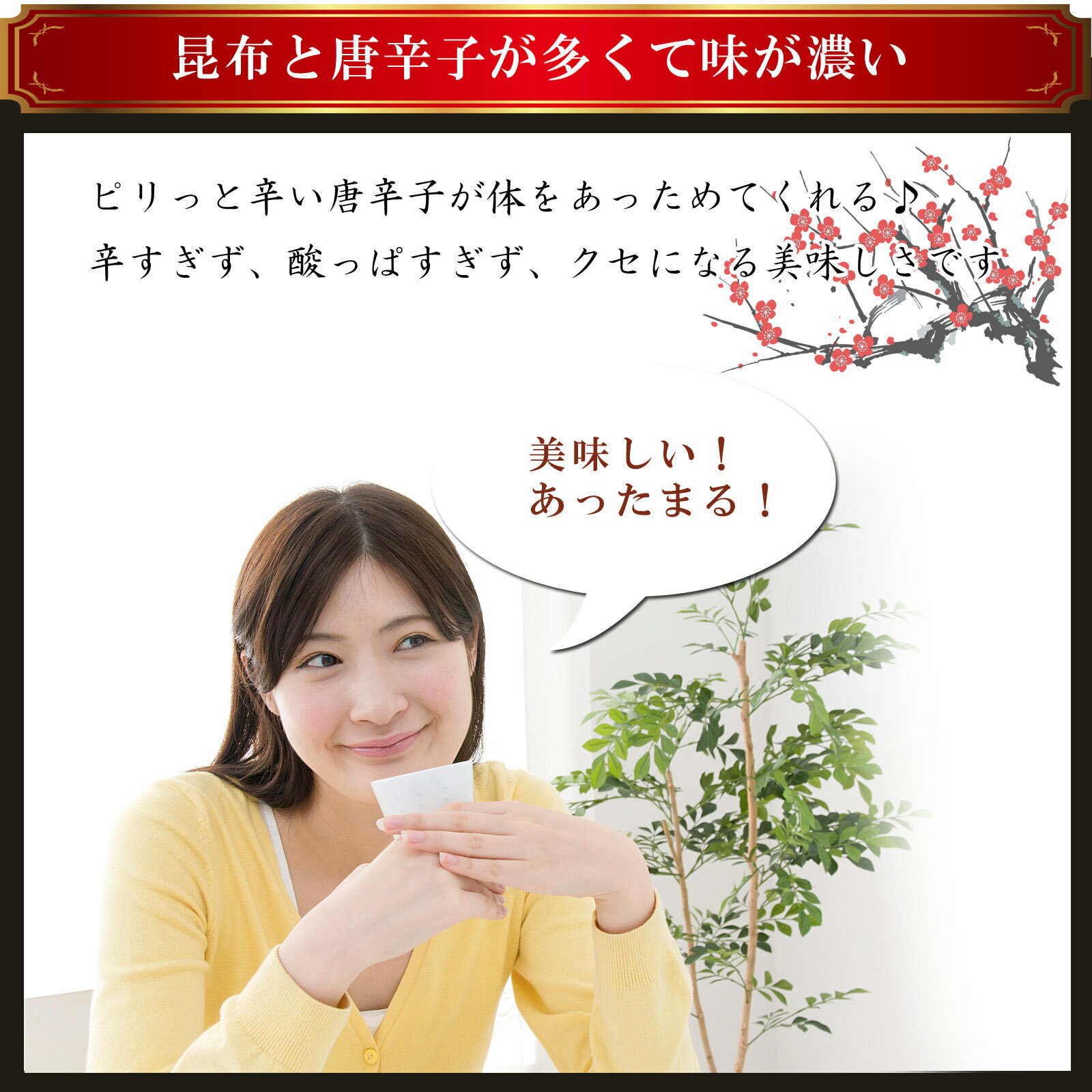 【送料無料】梅昆布茶 とうがらし梅茶 50g(2g×25袋) 【 スティック 小分けタイプ 】お茶 昆布茶 とうがらしうめ茶 唐辛子梅茶 おちゃ 健康茶 こぶちゃ コンブチャ こんぶ茶 ギフト カプサイシン ダイエット茶 母の日 ホワイトデー お返し 人気