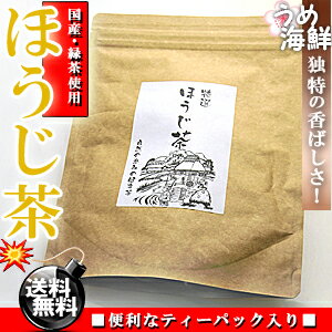 独特の香ばしさ♪国産 焙煎 ほうじ茶 ティーバッグ 20袋【送料無料】【日本茶】【健康茶】※代金引換不可 F