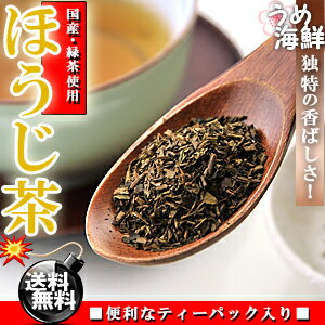 独特の香ばしさ♪国産 焙煎 ほうじ茶 ティーバッグ 20袋【送料無料】【日本茶】【健康茶】※代金引換不可 F