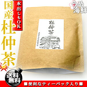 ゴクゴク飲める♪国産 杜仲茶 ティーバッグ 1袋 20袋入り 水出し もできます【送料無料】【とちゅう茶】【健康茶】※代金引換不可 F