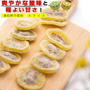 【送料無料】 ドライフルーツ キウイ キウイフルーツ ( 程よい厚さのスライスタイプ ) 500g【 食物繊維が豊富な健康おやつ 】 乾燥キウイ 乾燥野菜 ドライ 乾燥 きうい お菓子 菓子 おつまみ つまみ 果物 フルーツ 緑黄色野菜 菓子材料 スイーツ 健康食品 お茶菓子