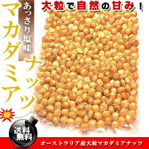 食感ばつぐん♪マカダミアナッツ たっぷり！500g［塩味］オーストラリア産【送料無料】【マカデミアナッツ】※代金引換不可 F