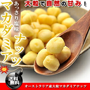 食感ばつぐん♪マカダミアナッツ たっぷり！500g［塩味］オーストラリア産【送料無料】【マカデミアナッツ】※代金引換不可 F