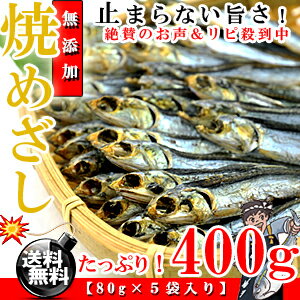 鹿児島県産 焼きめざし お徳用 400g (80g×5個入り) 無添加[送料無料][干物][焼めざし]［イワシ］