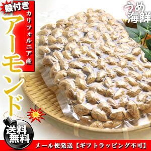 殻付きの本格派☆殻付きアーモンド お徳用 500g（塩味 ロースト）【送料無料】※代金引換不可 F