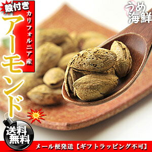 殻付きの本格派☆殻付きアーモンド お徳用 500g（塩味 ロースト）【送料無料】※代金引換不可 F