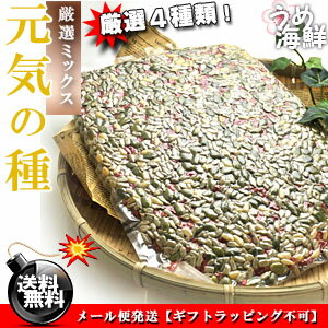 元気のタネ4種ミックス♪うす塩味 1kg（500g×2個）【送料無料】ひまわり、かぼちゃ、クコの実、松の実※代金引換不可 F