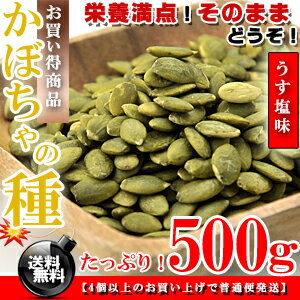 栄養満点！★食用 かぼちゃの種 うす塩味 500g 無添加 【送料無料】 無油 ロースト※代金引換不可 F