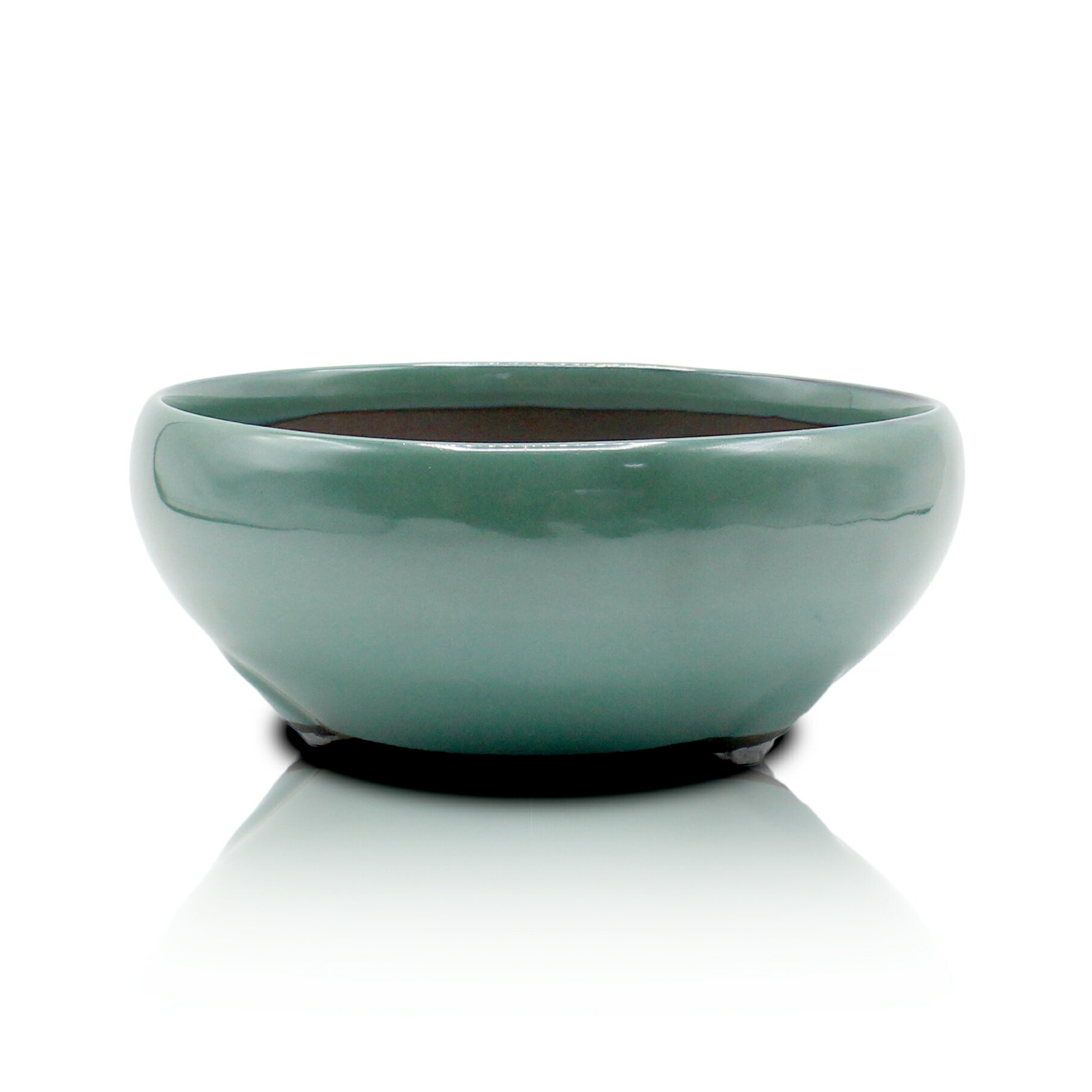 楽天市場】松 盆栽（カラーグリーン）（ガーデニング・農業｜花