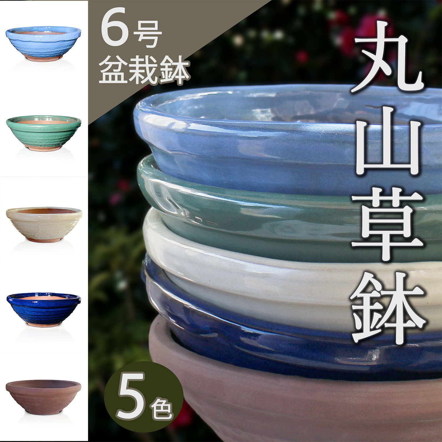 楽天市場】盆栽 鉢 落款の通販 楽天市場】盆栽 鉢 落款の通販