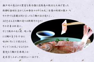 うめ丸鯛