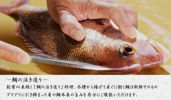 うめ丸鯛
