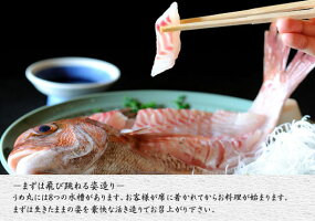 うめ丸鯛