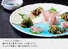 うめ丸鯛