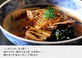 うめ丸鯛