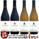 【送料無料】紅白4本セット カレラ セントラル・コースト ジョシュ・ジェンセン・セレクション 750ml (2022赤2021白)