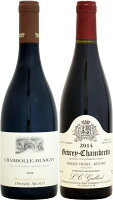 【特別価格】シャンボール・ミュジニー VS ジュヴレ・シャンベルタン 村名赤ワイン 2本セット
