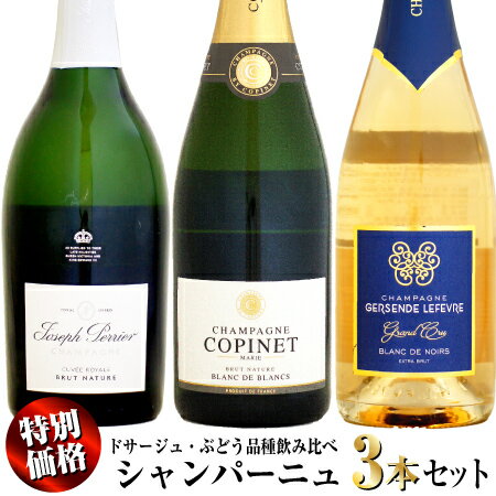 【特別価格】シャンパーニュ 3本セット (ドサージュ・ぶどう品種飲み比べ)