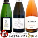 【クール配送】【特別価格】夏の厳選スパークリングワイン 飲み比べ 3本セット (シャンパーニュ・ブルゴーニュ・オーストリア)