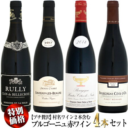 【クール配送】【特別価格】プチ贅沢 村名ワイン2本含むブルゴーニュ 赤ワイン 4本セット