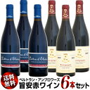 【クール送料無料】ベルトラン・アンブロワーズ 旨安 赤ワイン 6本セット (コトー21・ブル20)