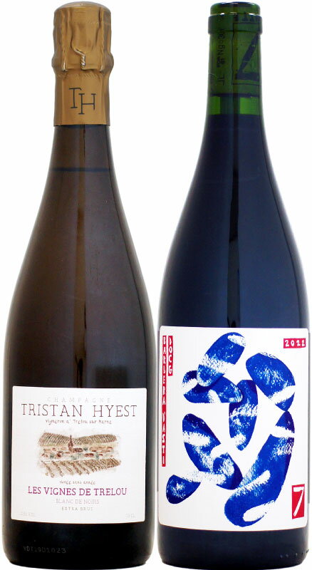 【クール配送】トリスタン・イエスト レ・ヴィーニュ・ド・トレルー NV 750ml (B19) を含む 2本セット(+セッテ赤)