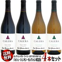 【送料無料】紅白4本セット カレラ セントラル・コースト ジョシュ・ジェンセン・セレクション 750ml (2019赤2021白)