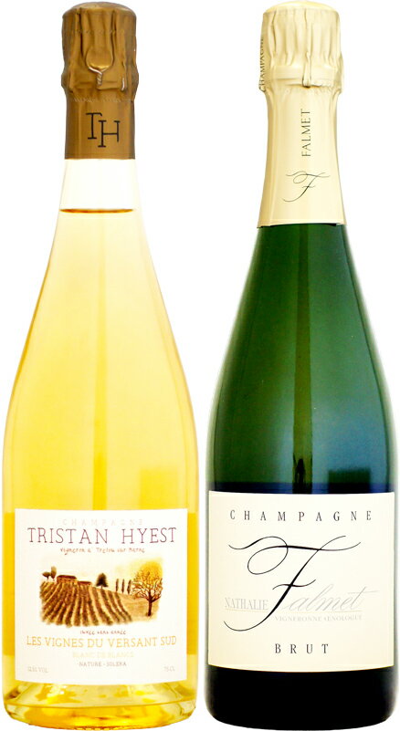 【クール配送】トリスタン・イエスト レ・ヴィーニュ・デュ・ヴェルサン・シュッド NV 750ml (B20) を含む 2本セット
