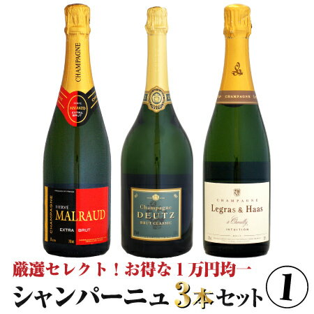 【クール配送】シャンパーニュ3本セット 1