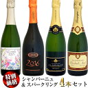 【家飲み応援・特別価格】シャンパーニュ＆スパークリング 4本セット (avril,lassalle,grand,antugnac)