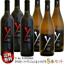 【送料無料】紅白6本セット ワイ・バイ・ヨシキ (Y by YOSHIKI) カベルネ・ソーヴィニョン&シャルドネ 750ml