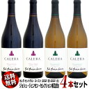 【送料無料】紅白4本セット カレラ セントラル・コースト ジョシュ・ジェンセン・セレクション 750ml (2021赤2021白)