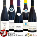 【クール配送】【家飲み応援・特別価格】お薦めブルゴーニュ 赤ワイン 5本セット