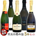 【家飲み応援・特別価格】クール送料無料 社長お薦め泡 5本セットC (スパークリングワインセット)