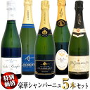 【クール配送】【特別価格】夏の豪華シャンパーニュ 5本セット