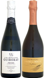 ドメーヌ・ド・ビシュリー レ・フォンテーヌ ロゼ NV 750ml (レコルト2020) を含む 2本セット ドメーヌ・ド・ビシュリー レ・フォンテーヌ ロゼ NV 750ml (レコルト2020) を含む 2本セット