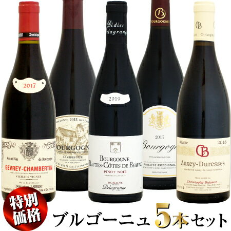 【クール配送】【特別価格】ワンランク上のブルゴーニュ 赤ワイン 5本セットA