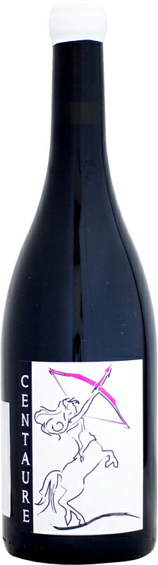 ディヴァン・ロワール サントール 750ml (赤ワイン)