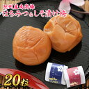 紀州南高梅 贈答品 はちみつ10粒 、しそ 梅 10粒 プレゼント 手土産 ギフト 贈り物 お中元 お歳暮 お弁当 おにぎり 梅酒 焼酎 おすすめ 免疫...