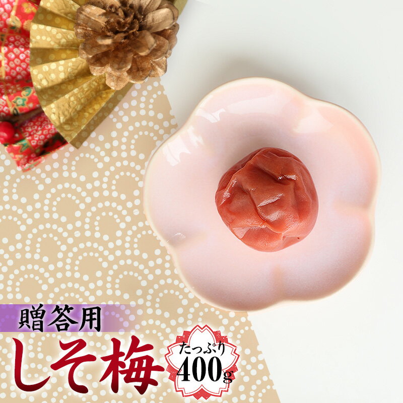紀州南高梅 贈答品・A級 しそ 梅 400g 大粒 プレゼント 手土産 ギフト 贈り物 お中元 お歳暮 内祝い お返し お弁当 おにぎり 梅酒 焼酎 おすすめ 免疫 塩分補給 熱中症対策 お徳用 ご家庭用